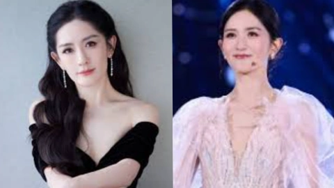 谢娜成都演唱会事件全程
