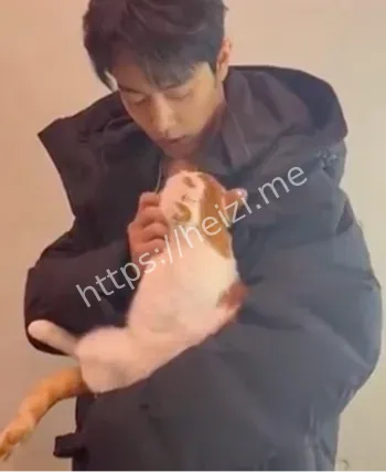 肖战微博视界大会