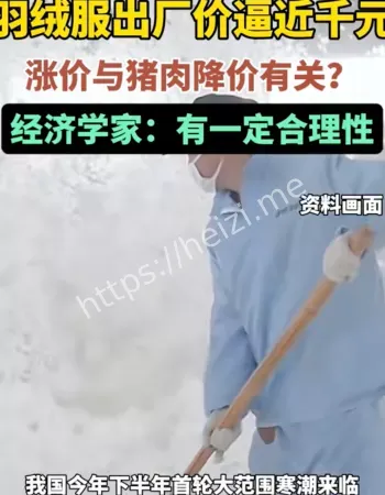 羽绒服涨价